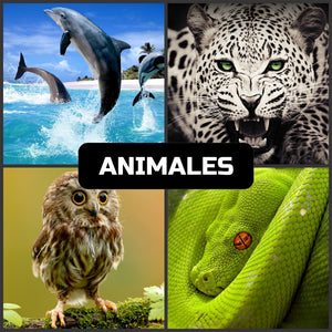 Animales