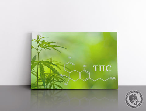 Cuadro Decorativo Cannabis C013