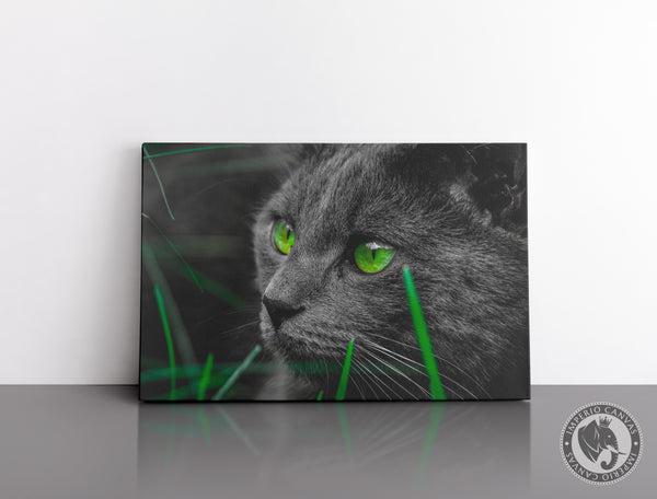 Cuadro Decorativo D007 - Gato