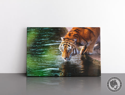 Cuadro Decorativo D009 - Tigre en el Lago