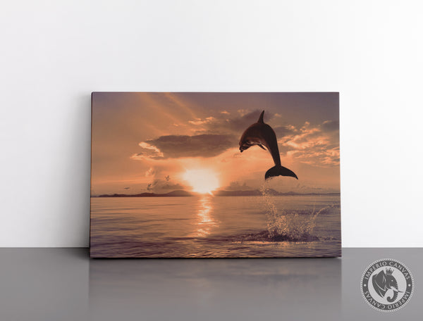 Cuadro Decorativo D011 - Delfin al Atardecer