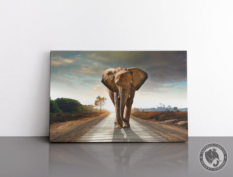 Cuadro Decorativo D018 - Elefante Imponente