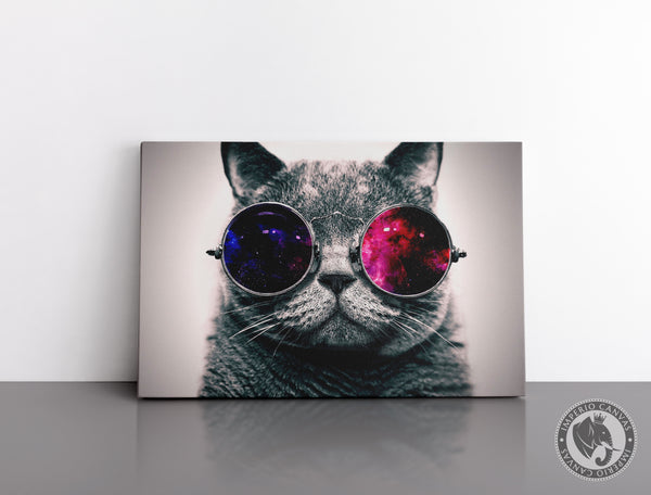 Cuadro Decorativo D021 - Gato Cool