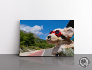 Cuadro Decorativo D024 - Perro Feliz