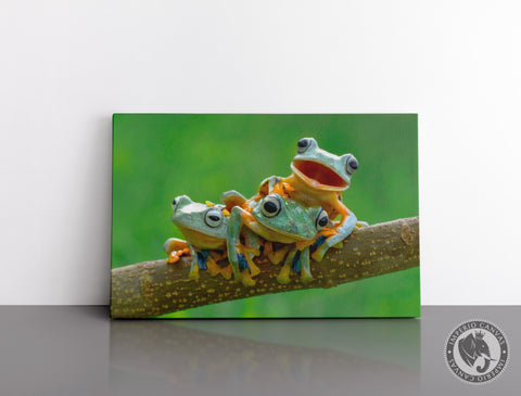 Cuadro Decorativo D031 - Familia de Ranas