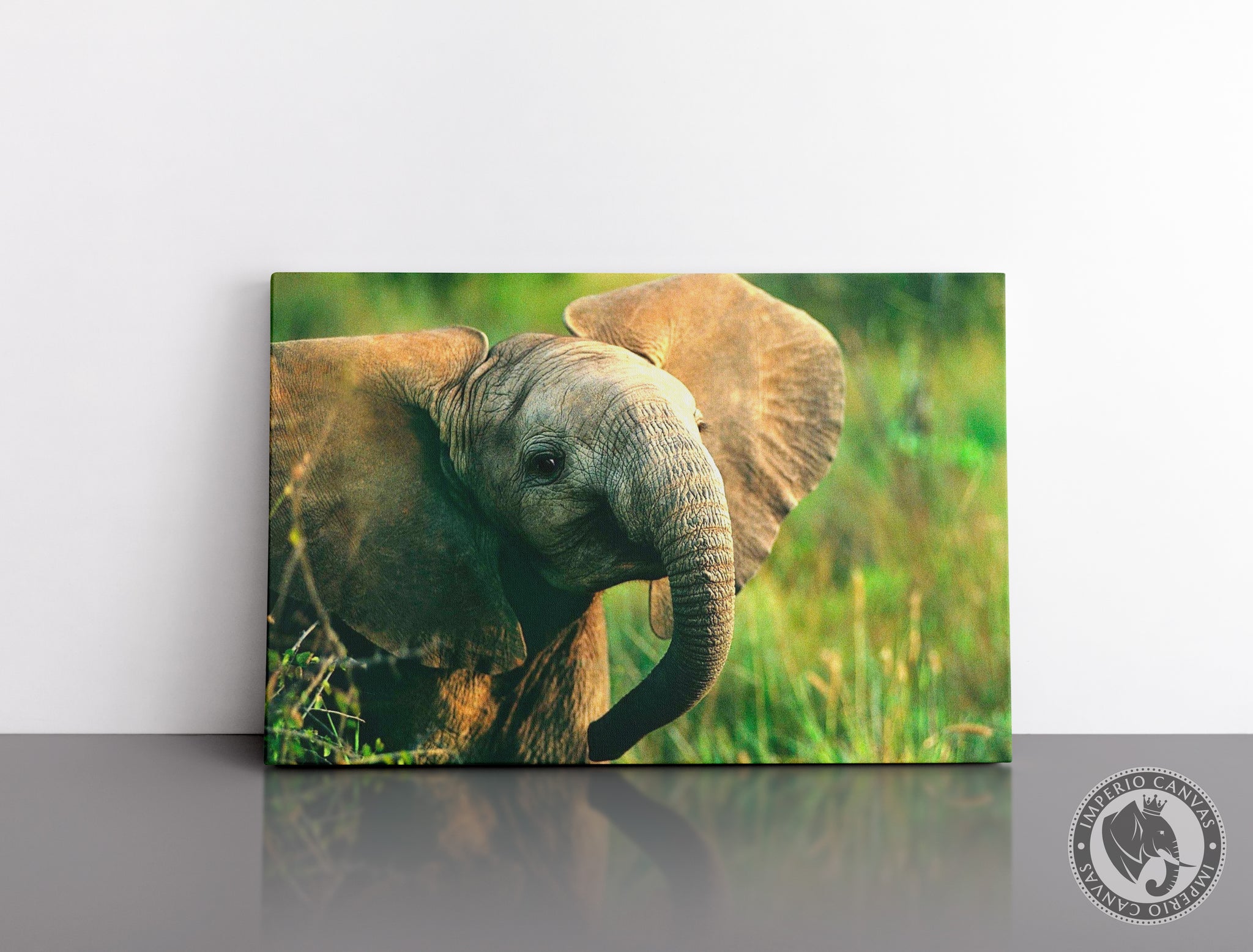 Cuadro Decorativo D033 - Pequeño Elefante