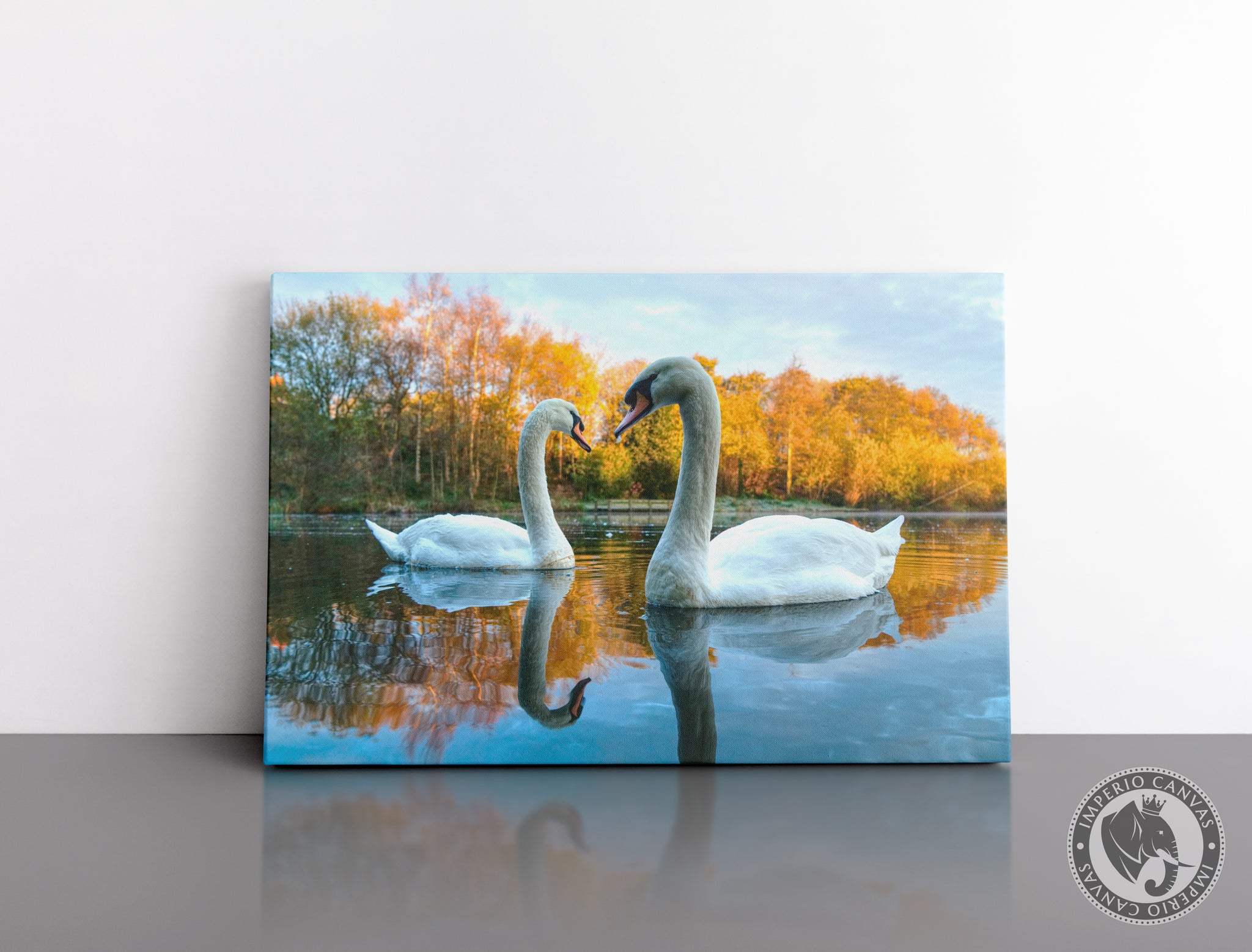 Cuadro Decorativo D034 - Pareja de Cisnes