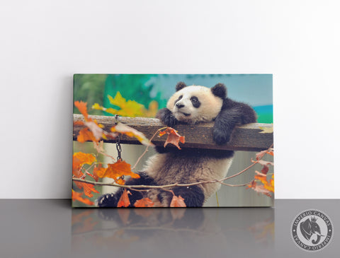 Cuadro Decorativo D076 - Panda Travieso