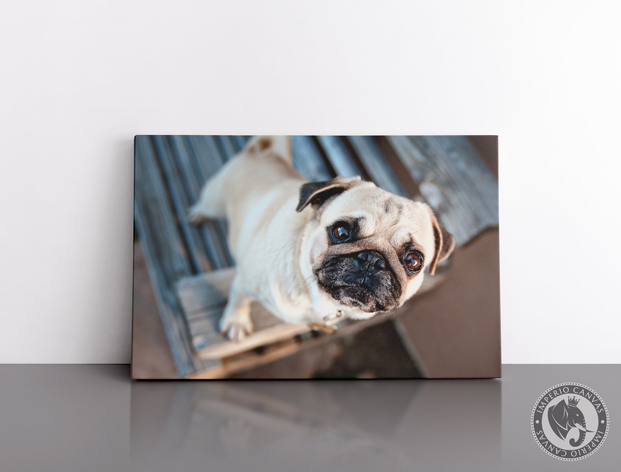 Cuadro Decorativo D078 - Cachorro Pug