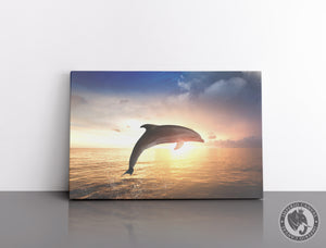 Cuadro Decorativo D081 - Delfin al Atardecer