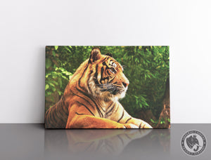 Cuadro Decorativo D092 - Tigre de Bengala