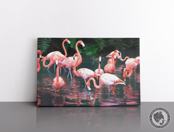 Cuadro Decorativo D093 - Flamingos