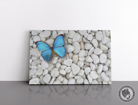 Cuadro Decorativo D099 - Mariposa Azul