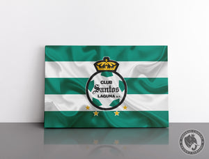 Cuadro Decorativo Deportes E005 - Santos