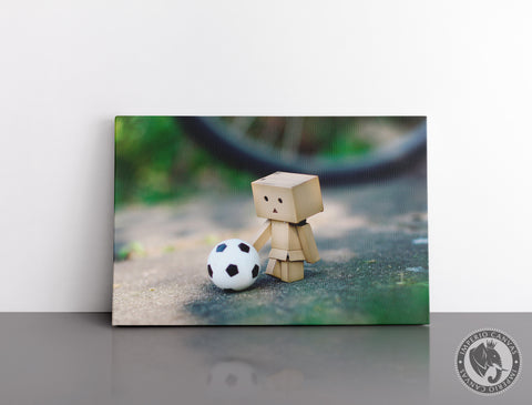 Cuadro Decorativo Deportes E012 - Soccer Funko