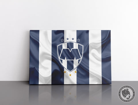 Cuadro Decorativo Deportes E014 - Rayados