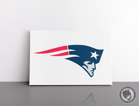 Cuadro Decorativo Deportes E021 - Patriotas