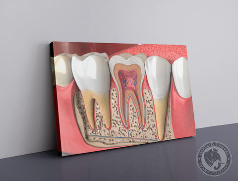 Cuadro Decorativo Profesiones P001 - Odontología