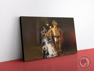 Cuadro Decorativo Star Wars S034